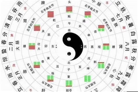 富貴命八字|八字格局看你是否有富貴命